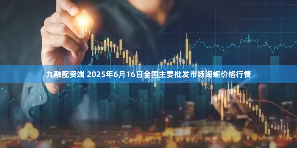 九融配资端 2025年6月16日全国主要批发市场海蛎价格行情
