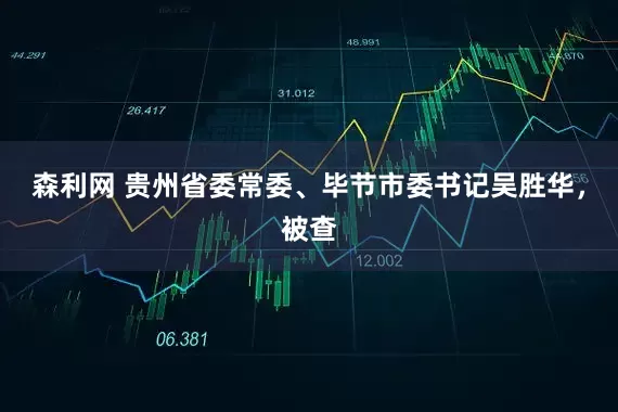 森利网 贵州省委常委、毕节市委书记吴胜华，被查