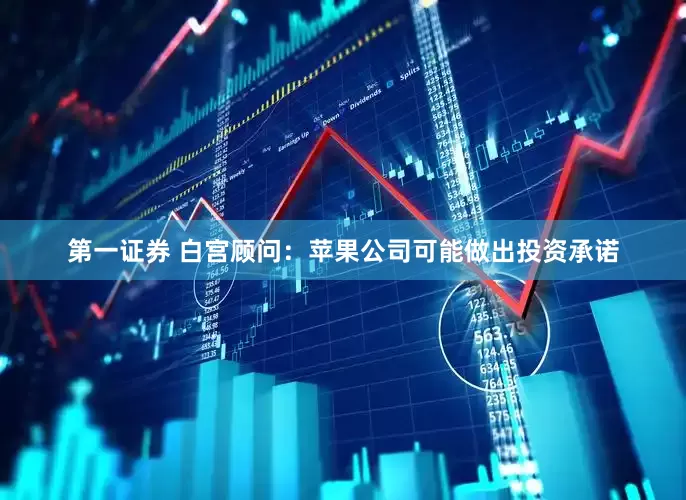 第一证券 白宫顾问：苹果公司可能做出投资承诺