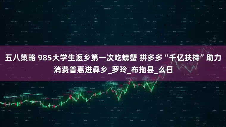 五八策略 985大学生返乡第一次吃螃蟹 拼多多“千亿扶持”助力消费普惠进彝乡_罗玲_布拖县_么日